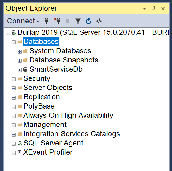 Restore SQL Object Explorer